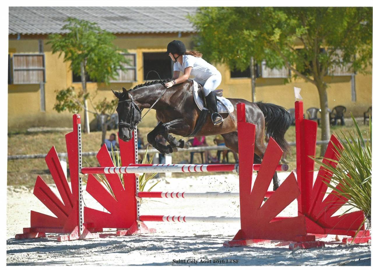 Entier OC possible de castrer 