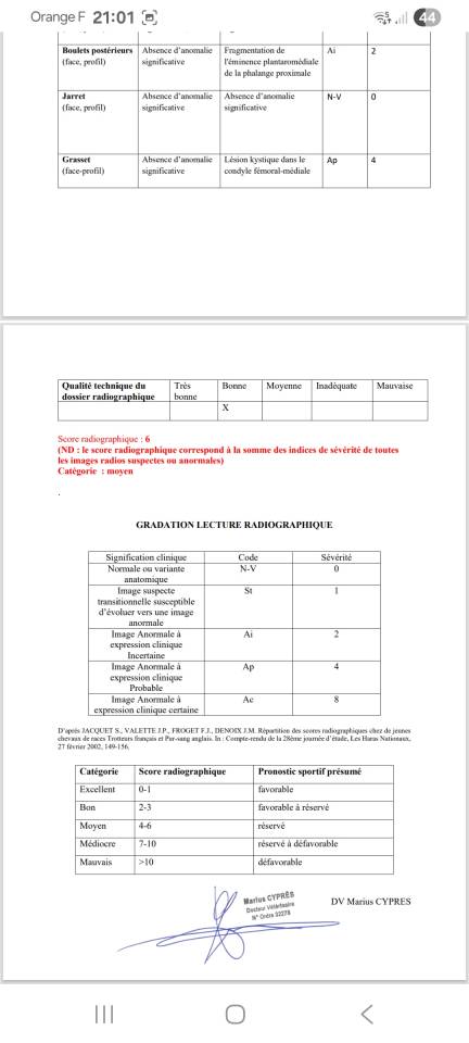 Jument SF Nina Vehem