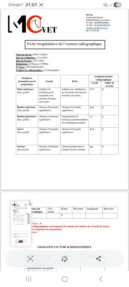 Jument SF Nina Vehem