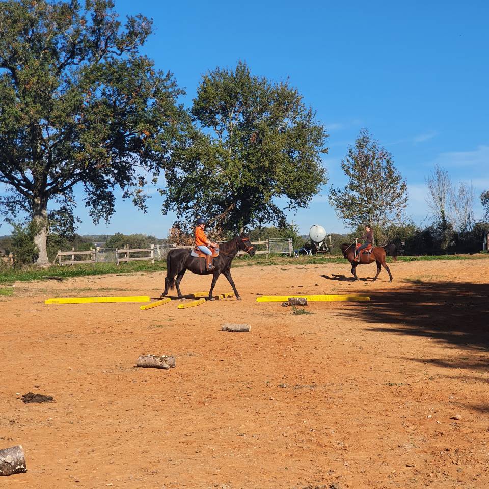Stage western et de pleine nature