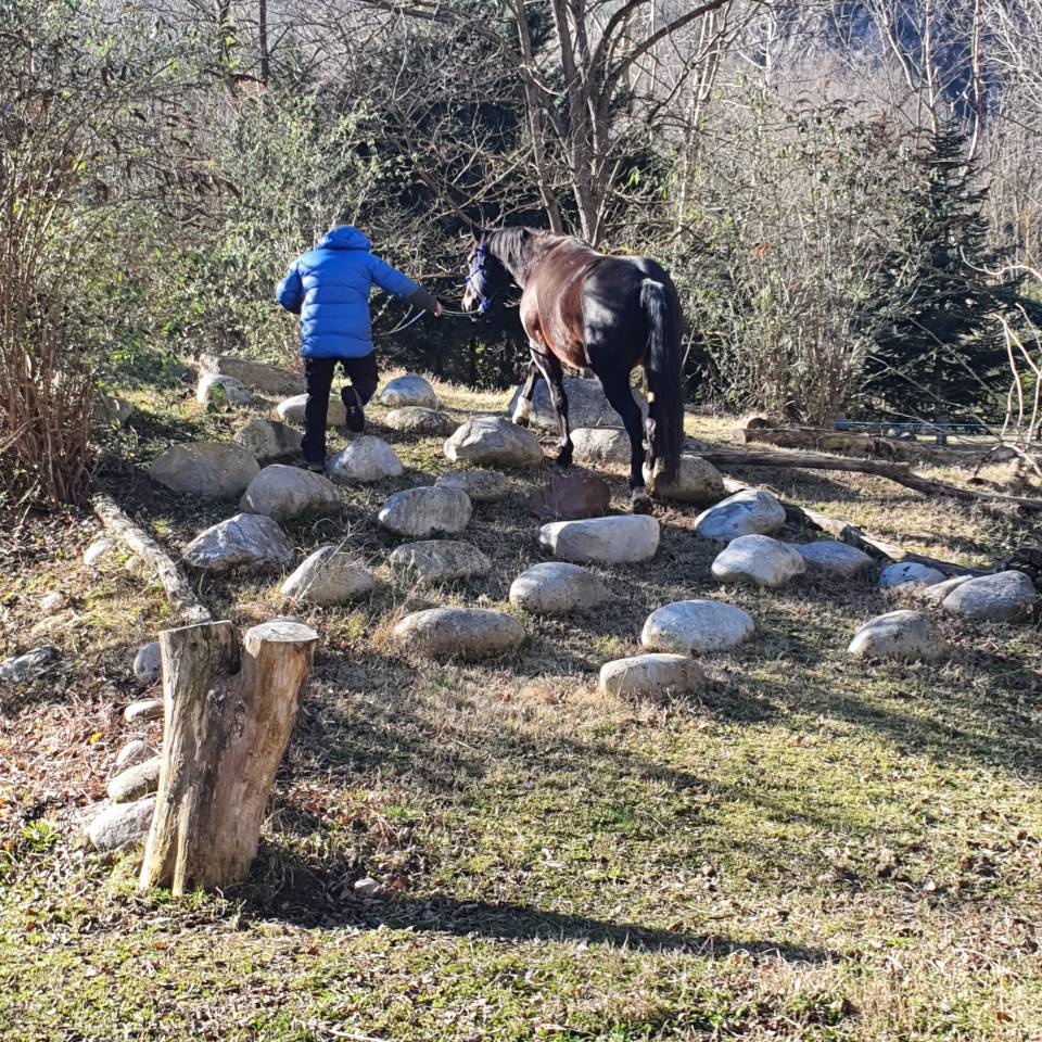 Stage western et de pleine nature