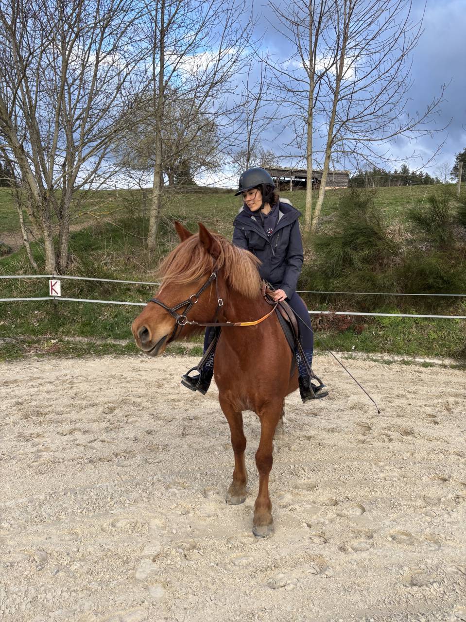 Jument OC de 4 ans à vendre 