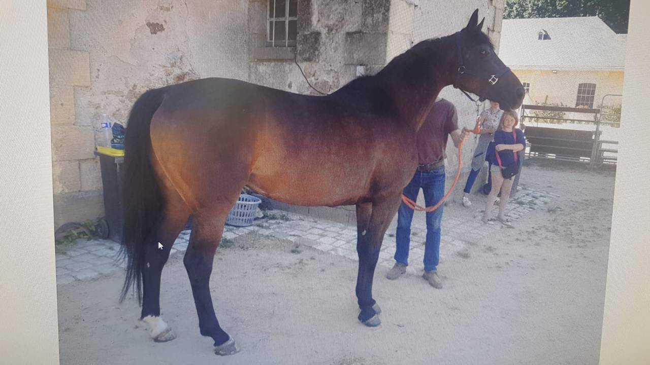 Poulini&egrave;re SFO vide pour 2026