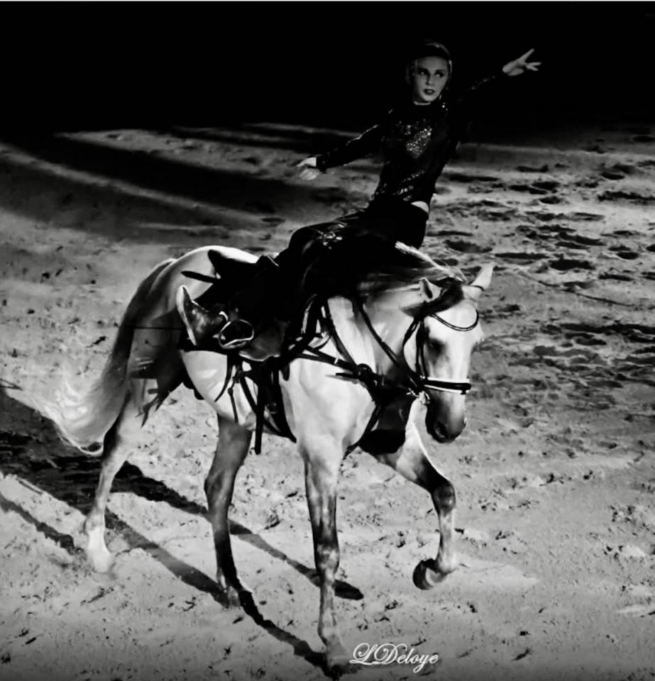 Lusitanien pp Voltige-Haute Ecole