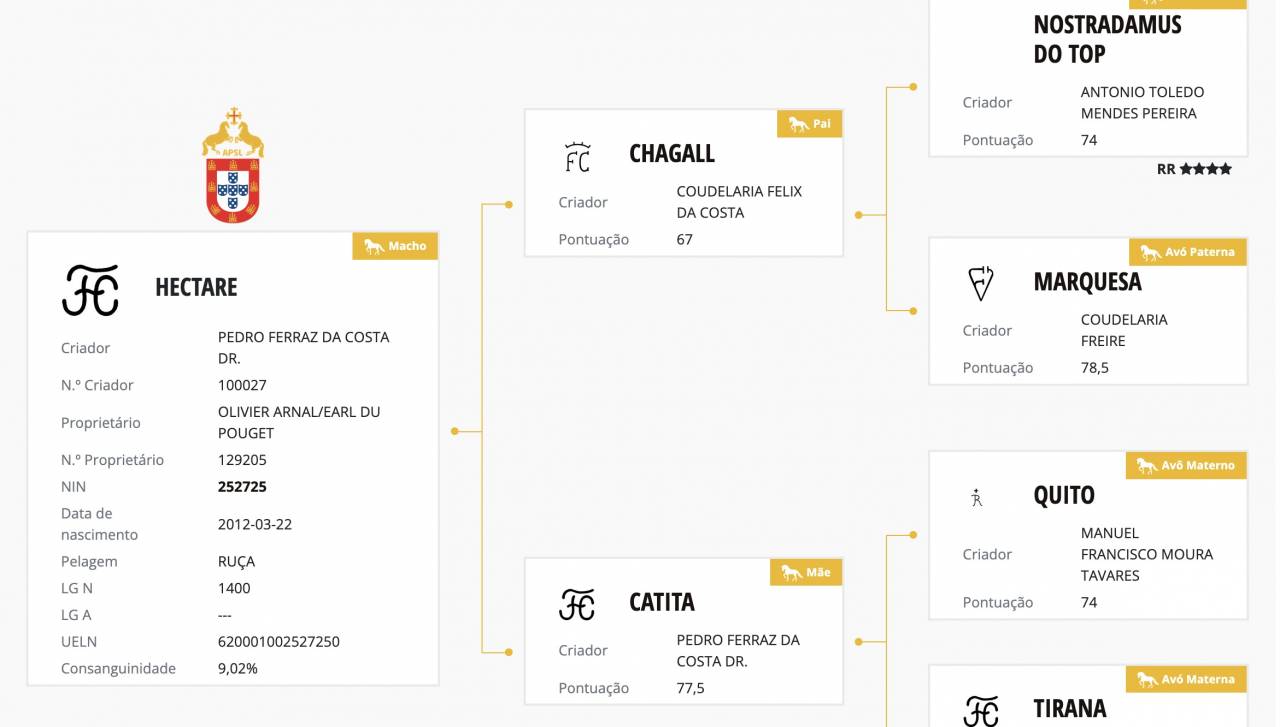 Lusitanien pp Voltige-Haute Ecole
