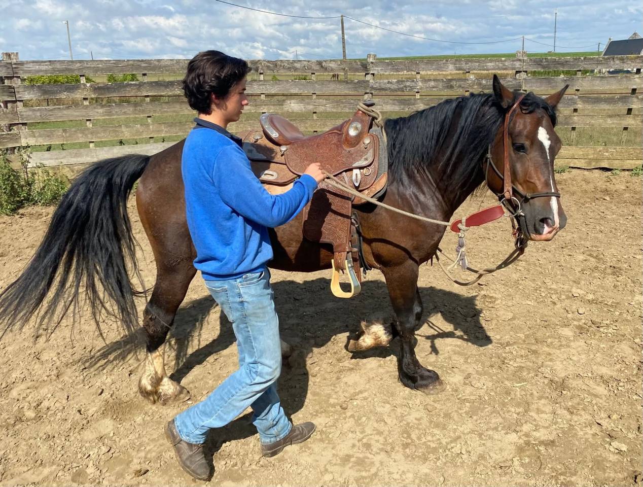 Iron poney welsh D PP 7ans