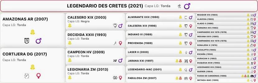 Cheval Pure Race Espagnole (PRE) – 4 ans, entier