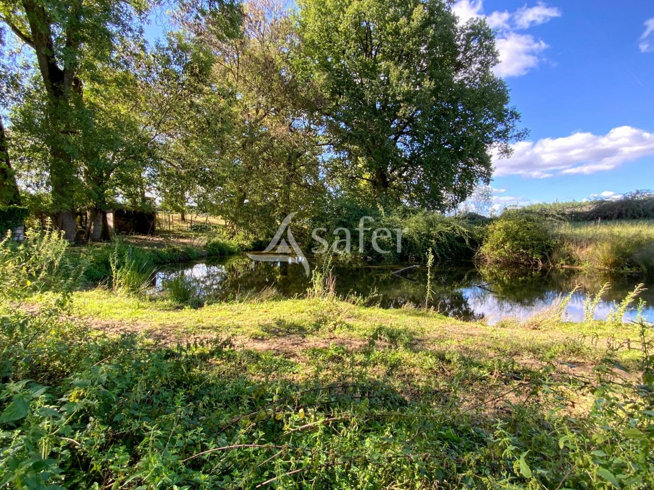 Propriété sur 45 ha groupé