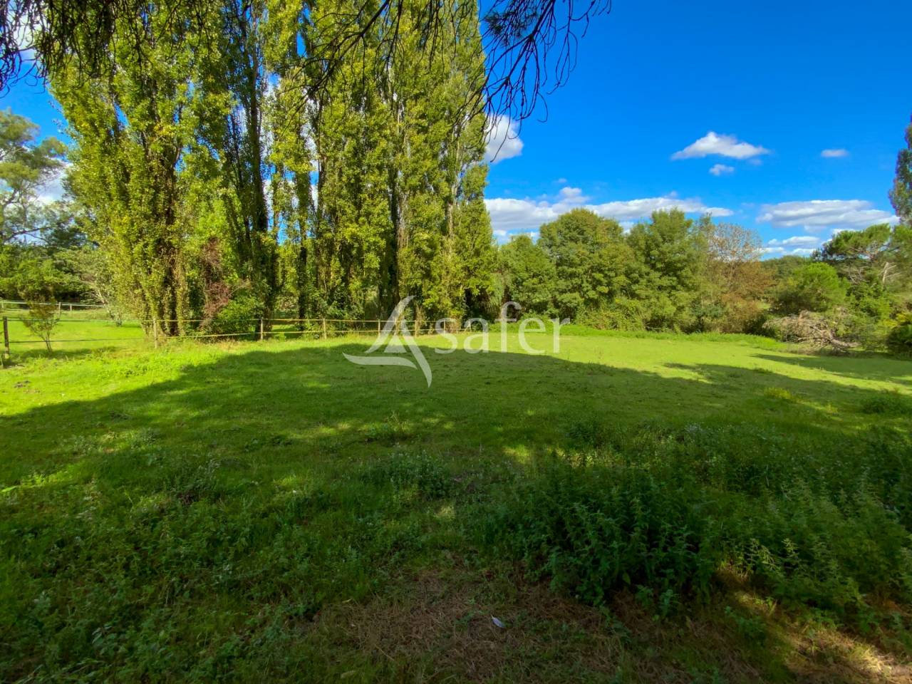 Propriété sur 45 ha groupé