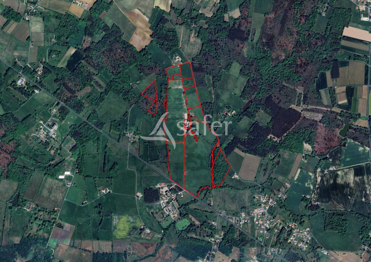 Propriété sur 45 ha groupé