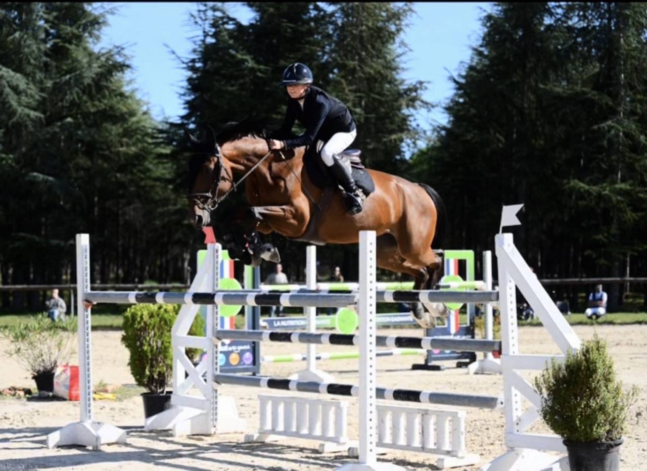 top jument CSO Zangersheide  Amateur Elite et CSI *