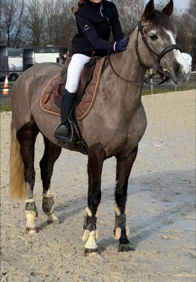 Super ponette 10/10 en CCJP5 ans 