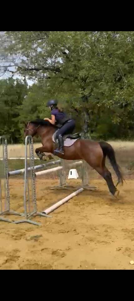 Poney D - Fugue du Bruyeras - 10 ans