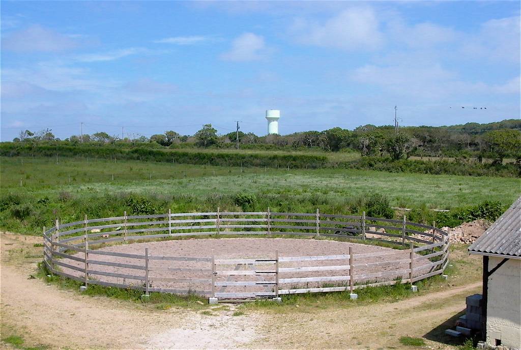 Pension cheval - Ecuries de Lodeven - 29810 Br&eacute;l&egrave;s