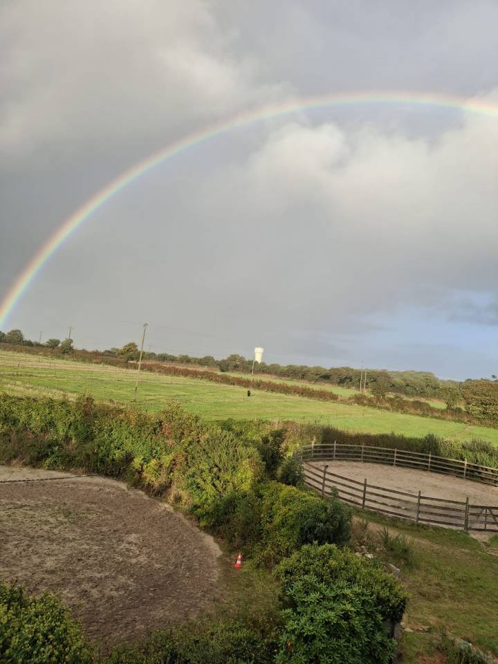 Pension cheval - Ecuries de Lodeven - 29810 Br&eacute;l&egrave;s