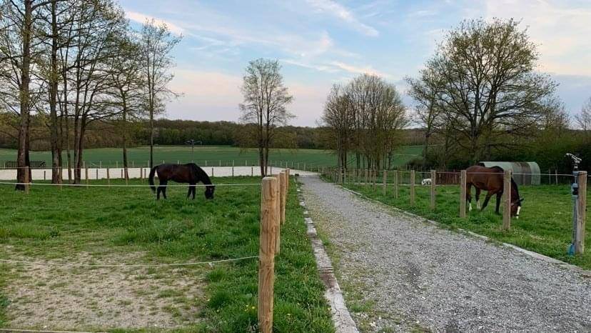 1 place en Pension box paddock chez particulier 77