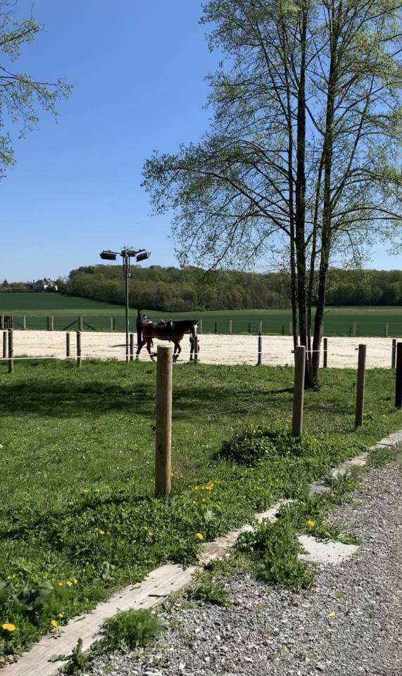 1 place en Pension box paddock chez particulier 77