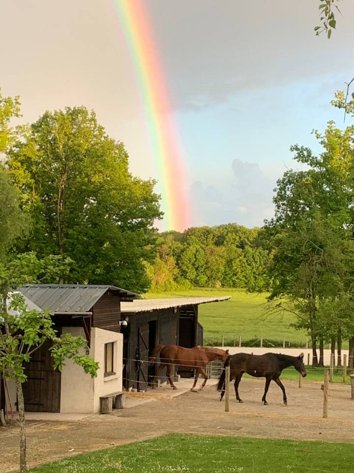 1 place en Pension box paddock chez particulier 77