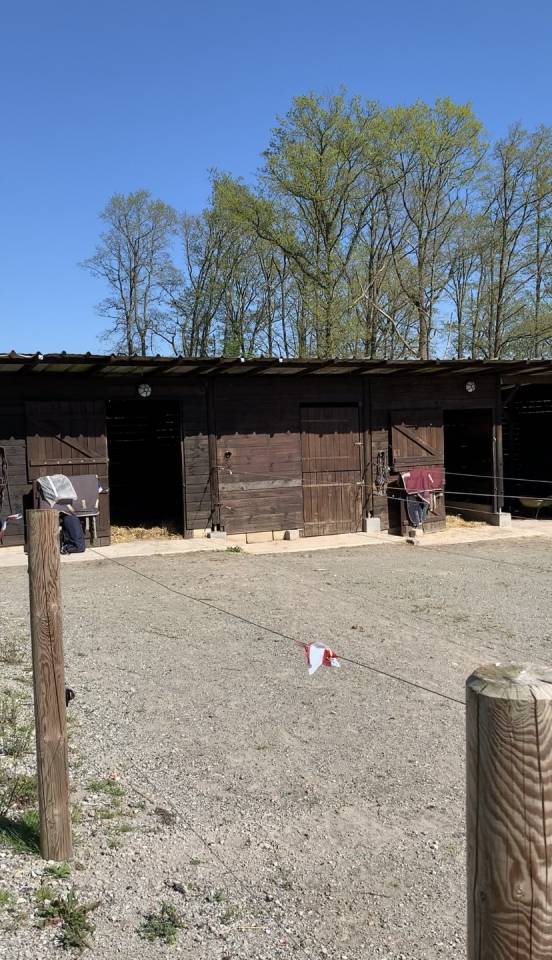 1 place en Pension box paddock chez particulier 77