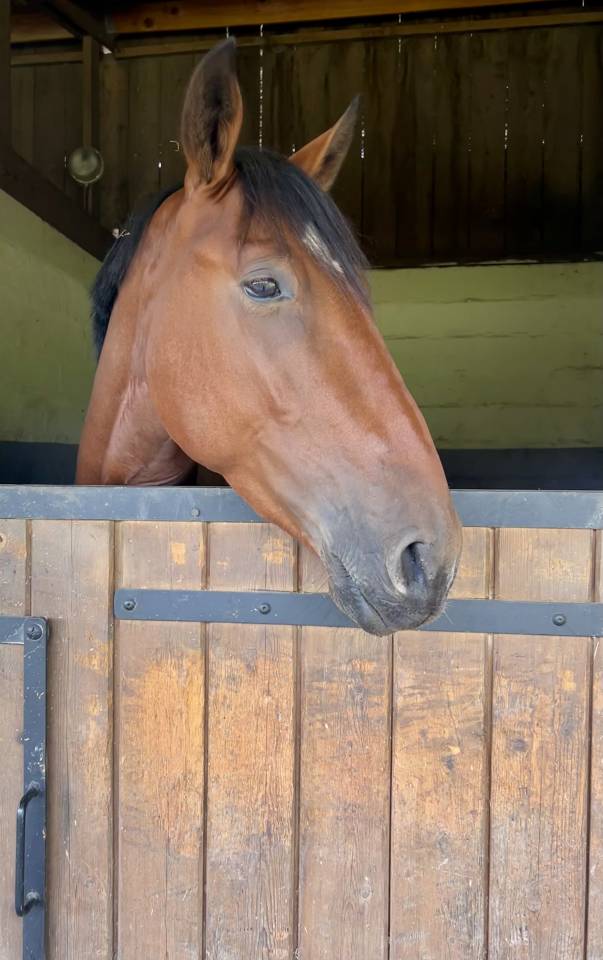 Tiers de pensions Mik