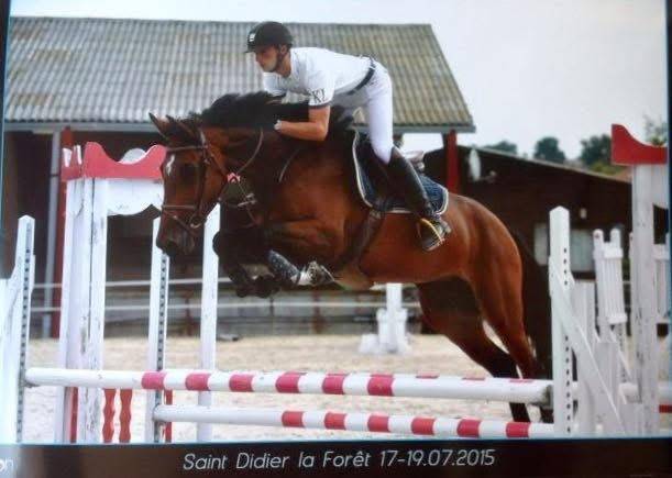 Poulinière Toulon x Ahorn