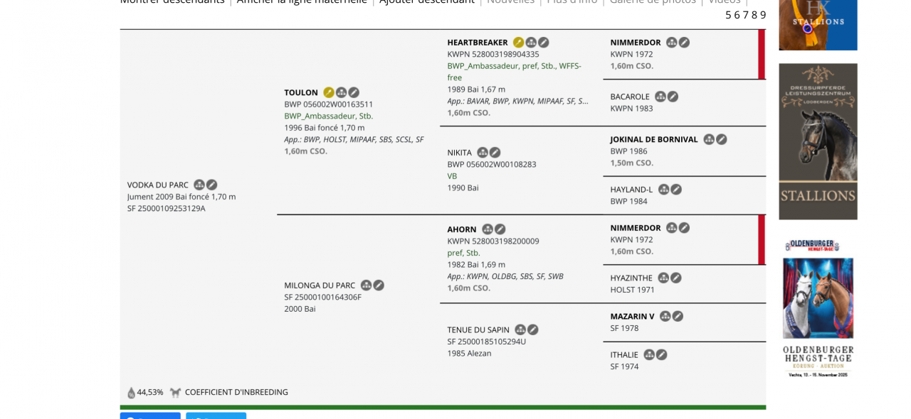 Poulinière Toulon x Ahorn
