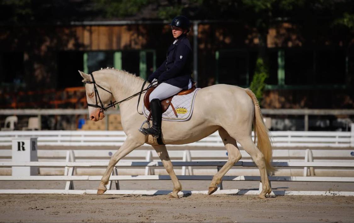 Vend ma ponette crème au yeux bleu 