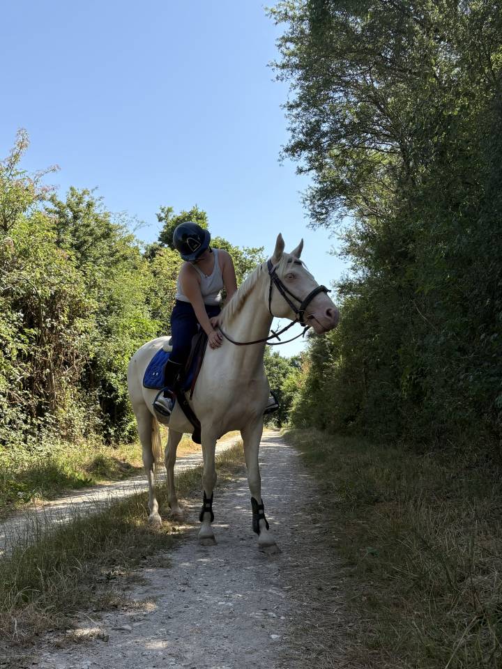 Vend ma ponette crème au yeux bleu 