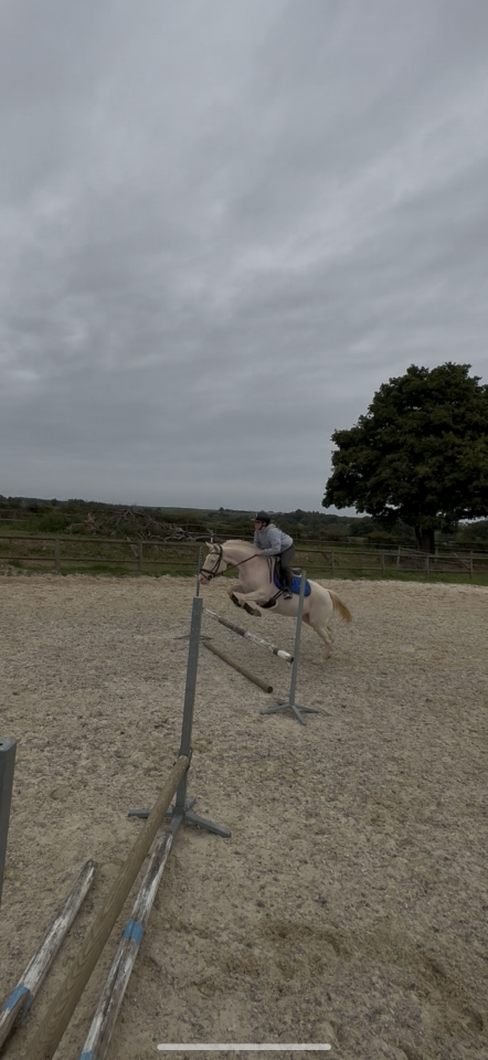 Vend ma ponette crème au yeux bleu 