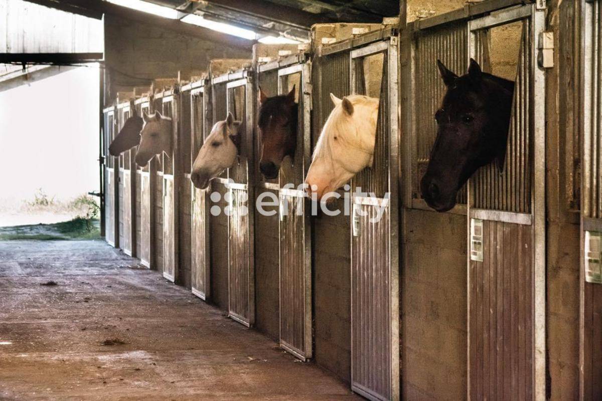 Propriété équestre