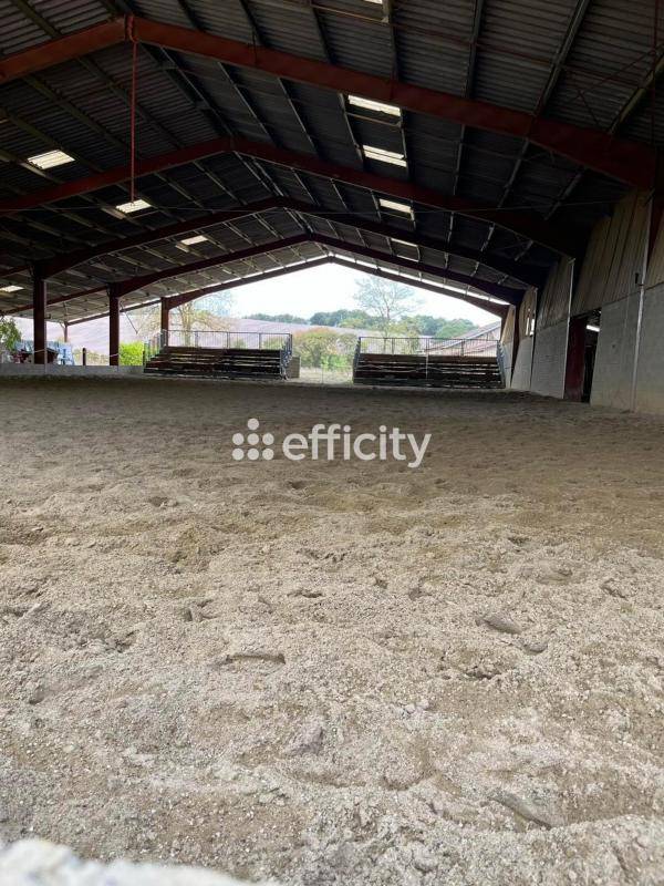 Propriété équestre