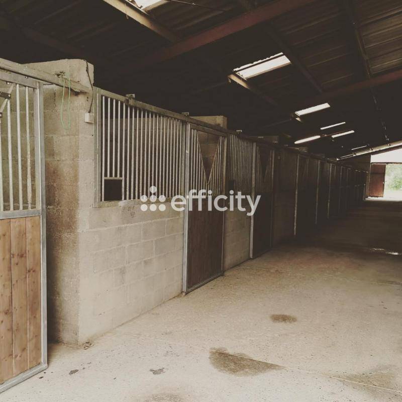 Propriété équestre