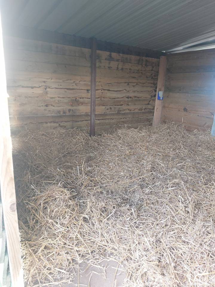 Propose pension chevaux 