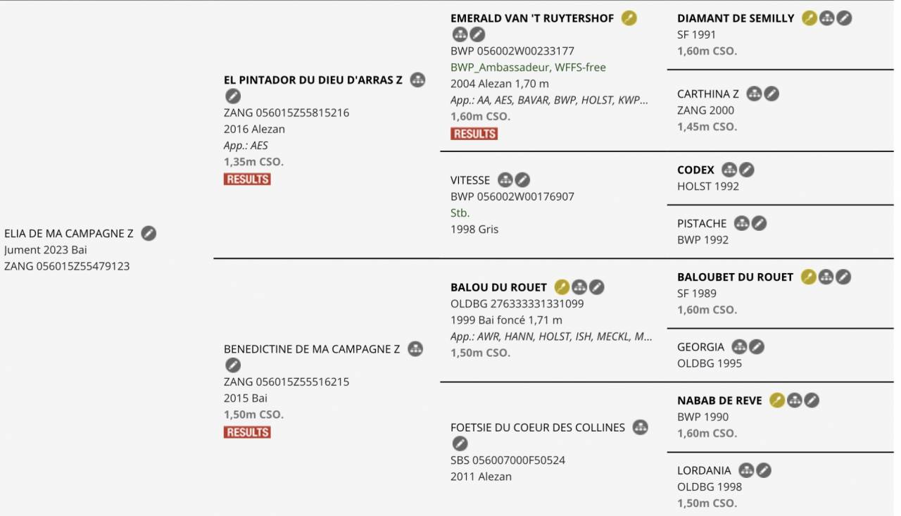 Jument 2 ans - Balou du Rouet 