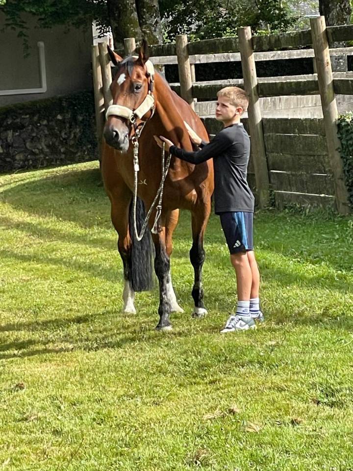 TOP JUMENT CSO 7 ANS