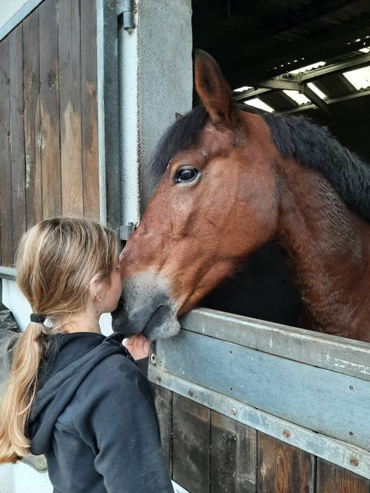 Belle ponette à vendre