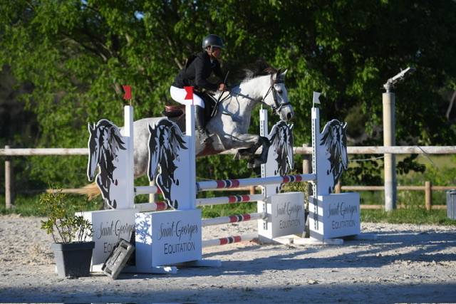 À VENDRE ! Top ponette PP connemara 9 ans 