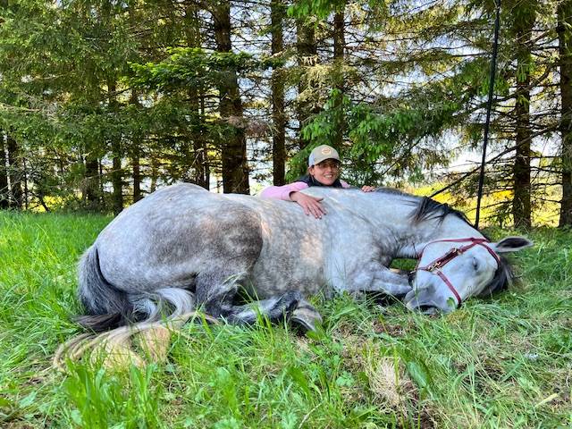 À VENDRE ! Top ponette PP connemara 9 ans 