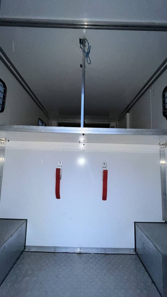 Camion VL Renault master