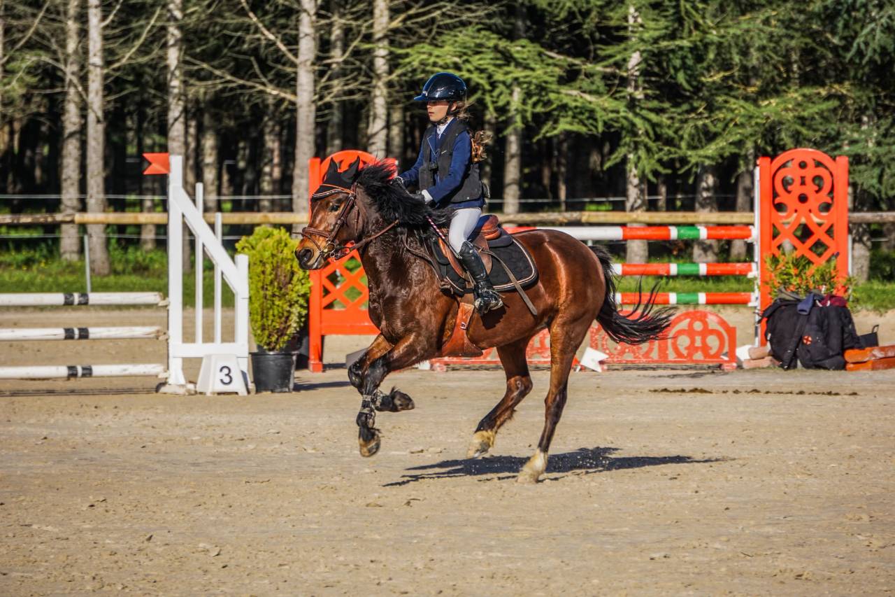 Ponette new Forest 8ans 