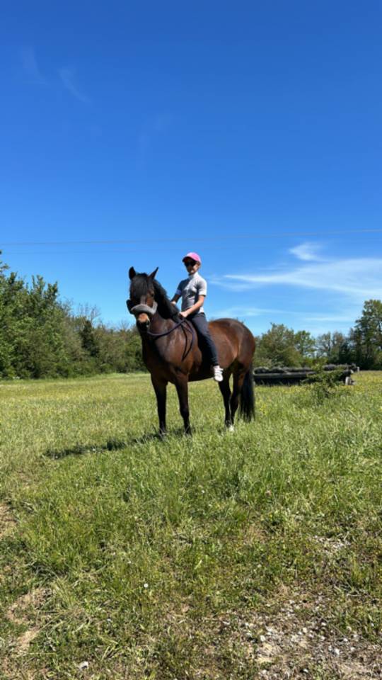 Ponette new Forest 8ans 