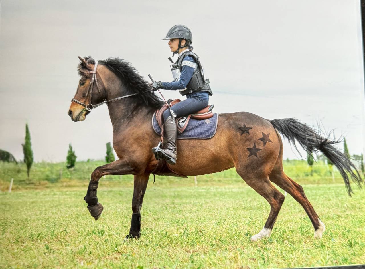 Ponette new Forest 8ans 