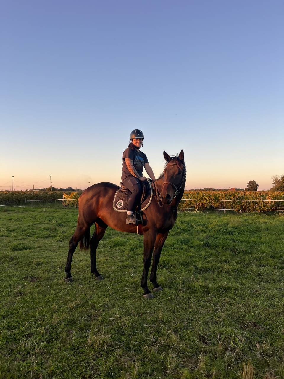 ZARQO PS HONGRE 5 ans