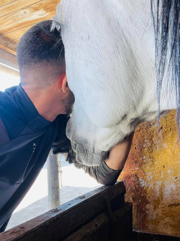 Sofien 37ans Palefrenier pour un poste logé 