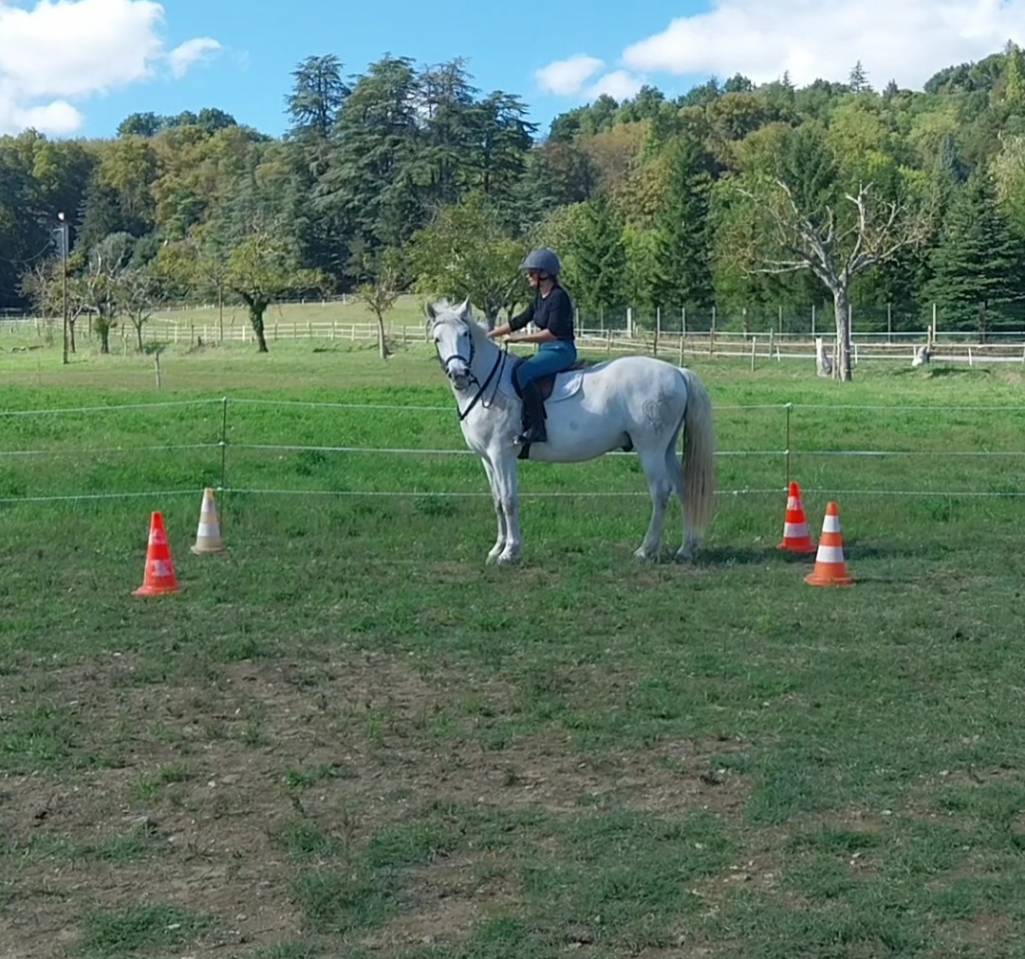 Mystère de Loubes, Camargue PP