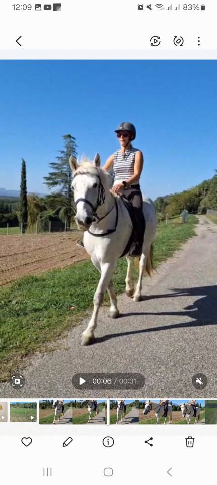 Mystère de Loubes, Camargue PP