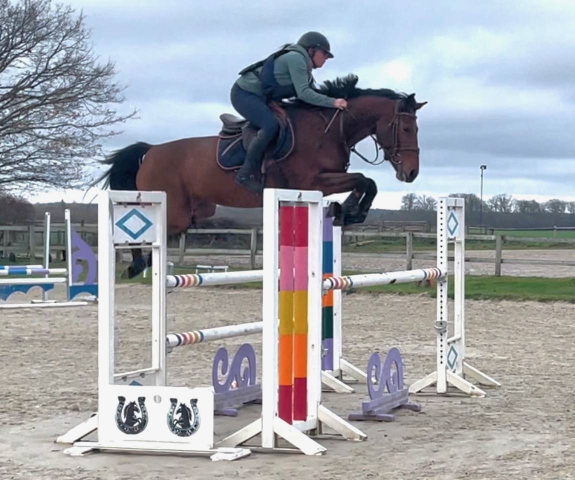 Jument , SF , 2021 (Cicave du talus x Fidelio du thot)