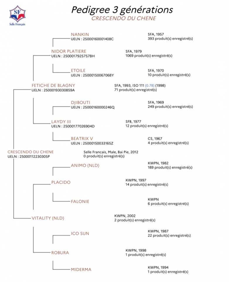 ADORABLE Entier SF de 2012