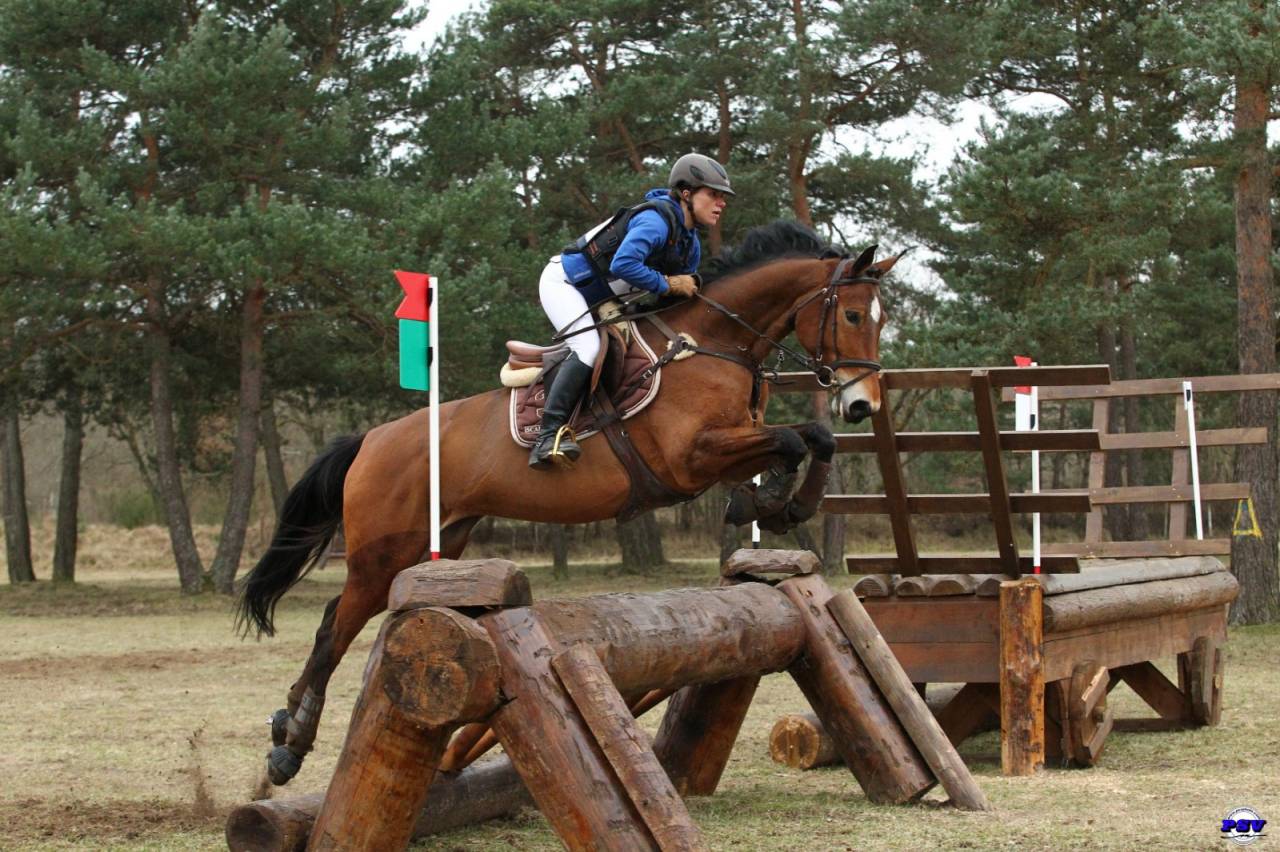 Jolie poulini&egrave;re 