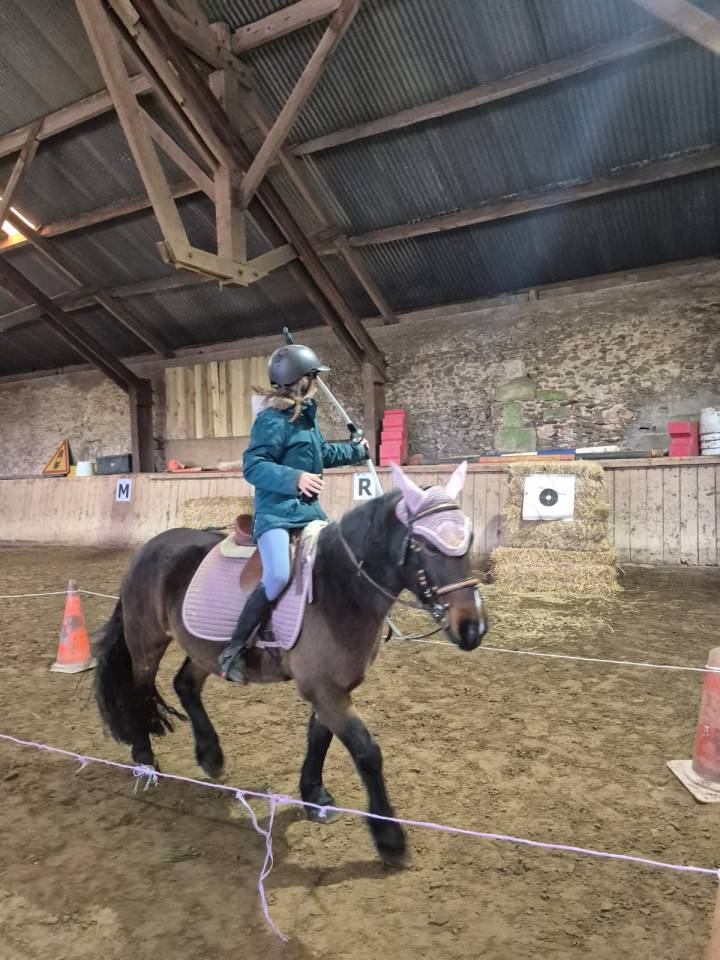 Poney d’école polyvalent